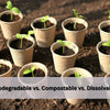 Biodegradable VS Compostable VS Dissolvable: What’s the Real Difference?