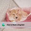 How to Wash a Dog Bed with or without a Removable Cover