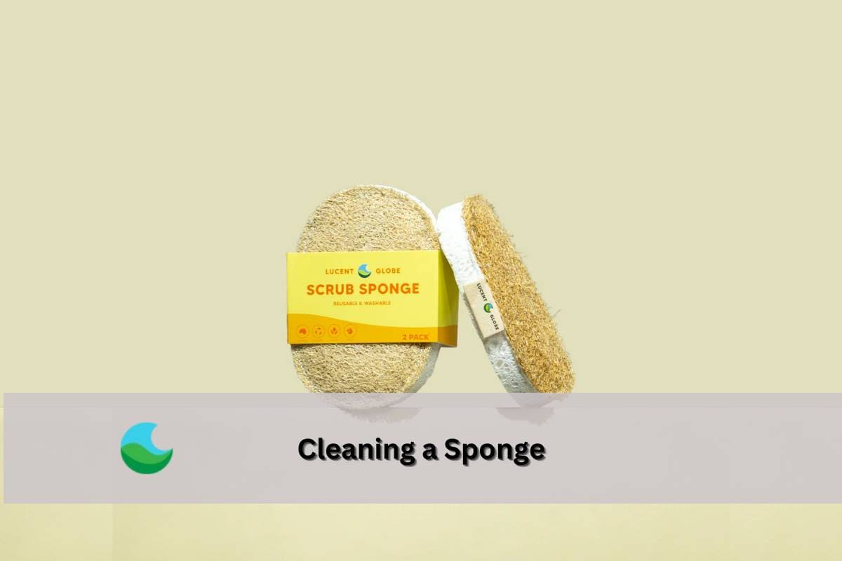 How to Clean a Kitchen Sponge and Disinfecting Tips– Lucent Globe
