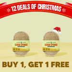 Buy 1, Get 1 FREE Scrub Sponge