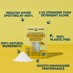 Dishwashing Booster