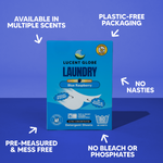 Blue Raspberry Laundry Detergent Sheets - Limited Edition