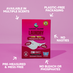 Pomegranate Burst Laundry Detergent Sheets - Limited Edition