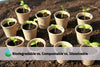 biodegradable vs compostable vs dissolvable