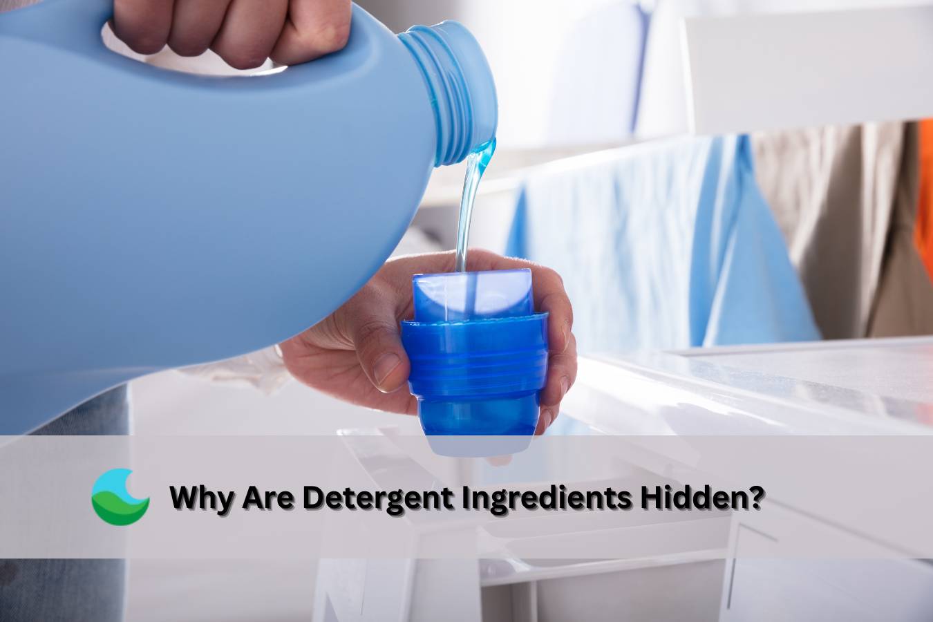 Why Aren’t the Ingredients in Detergents Always Listed on the Label ...