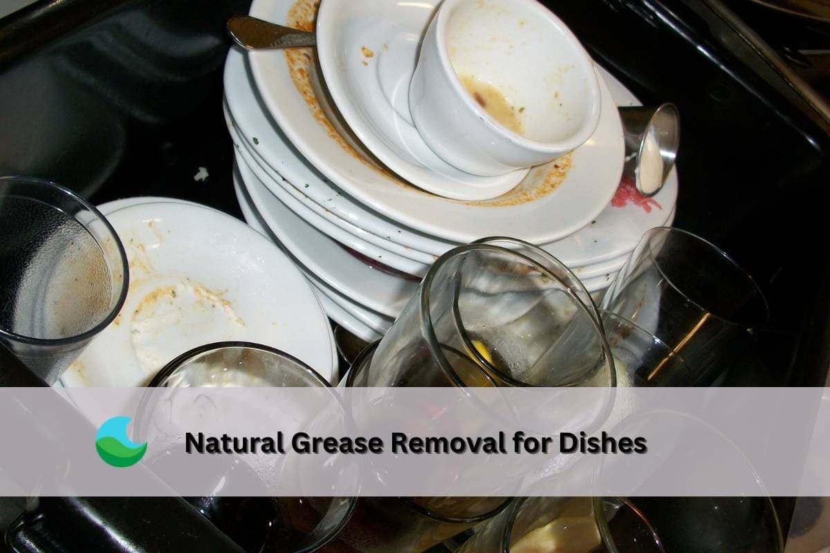Degrease Food How to Remove Grease From Dishes Without Scrubbing for Hours– Lucent Globe