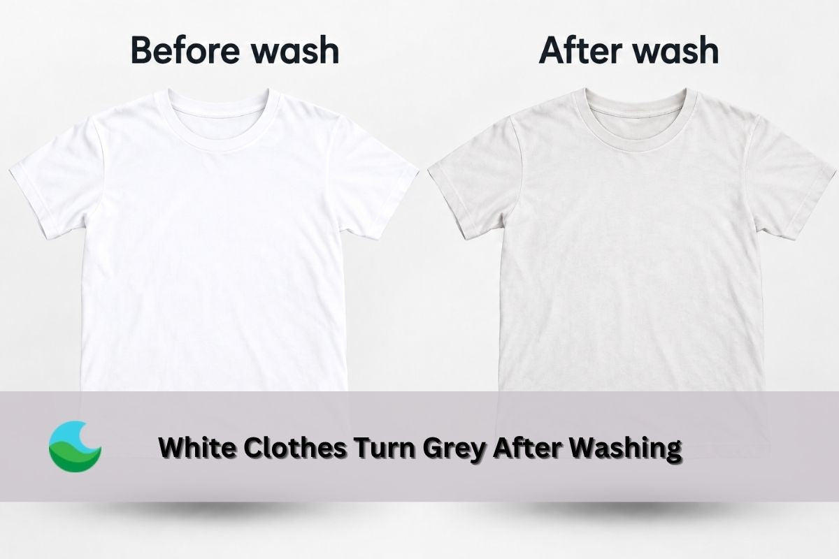 Why Do White Clothes Turn Grey After Washing?– Lucent Globe