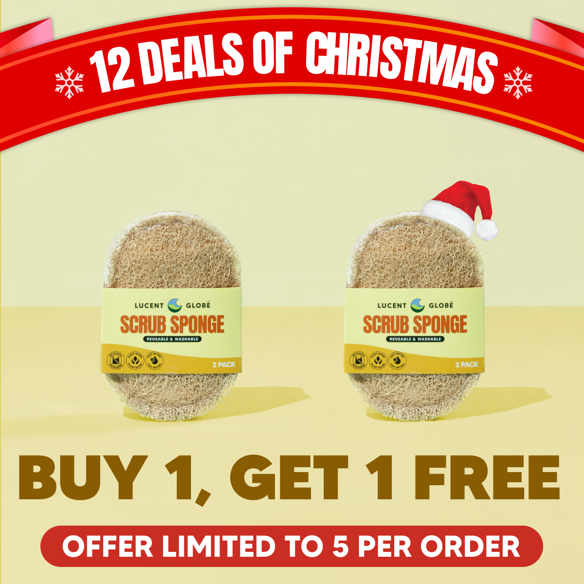 XMAS OFFER: BOGO Scrub Sponge