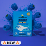 Laundry Detergent Sheets - Blue Raspberry - 1 Pack